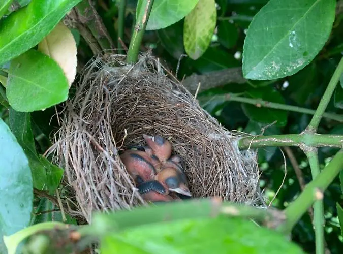 Hotel Le Melchior 3*